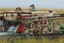 Kenya-safari-tourists